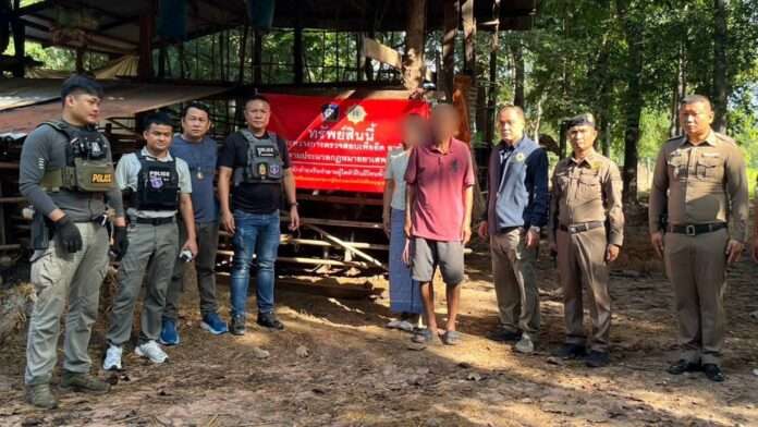 1760327720263_edit_74423134242808