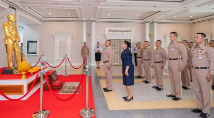 1761631278105_edit_185524279220647