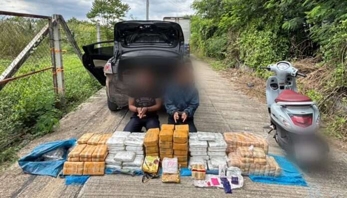 1761898573285_edit_66130062475845