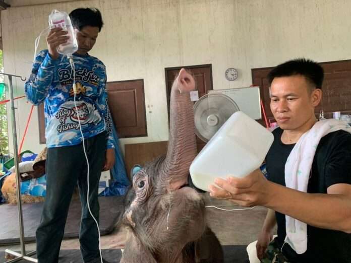 FB_IMG_1759252534381