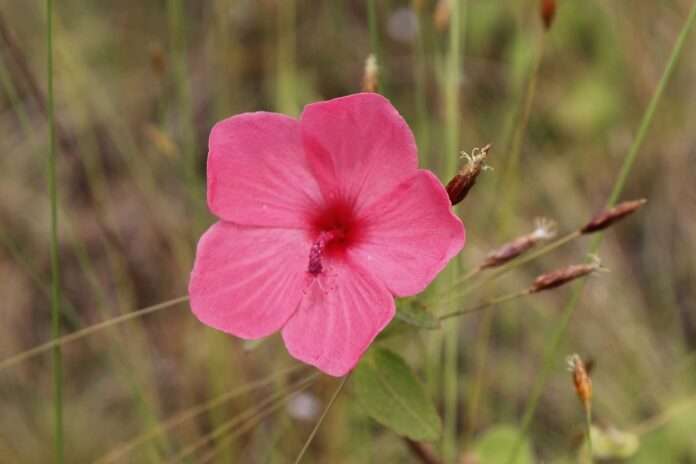 FB_IMG_1759456783885