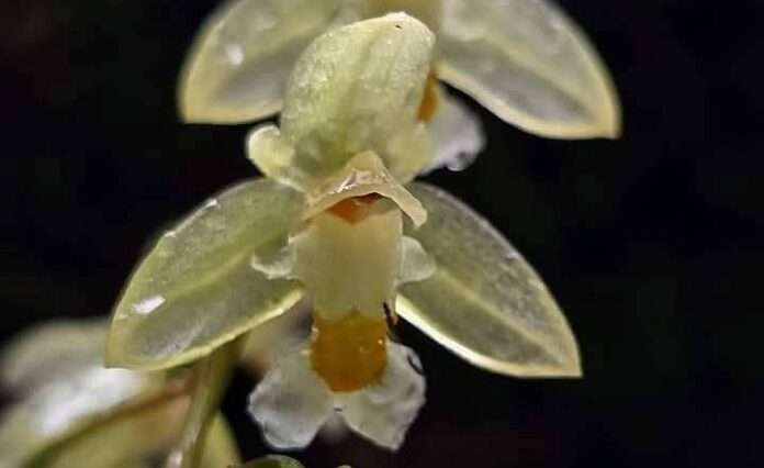 FB_IMG_1759705331293