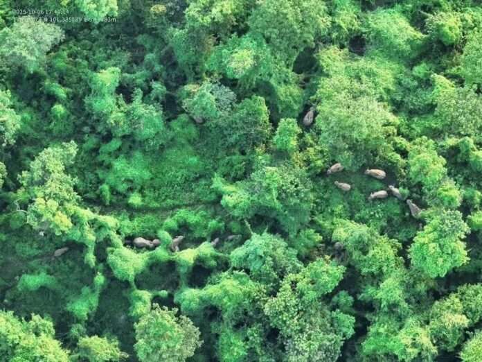 FB_IMG_1759886674757