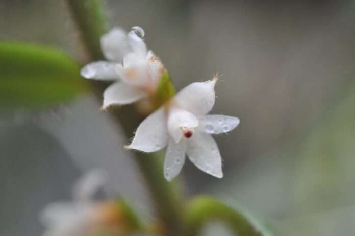 FB_IMG_1760142387997