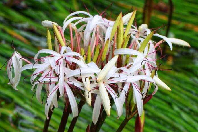 FB_IMG_1760656775281