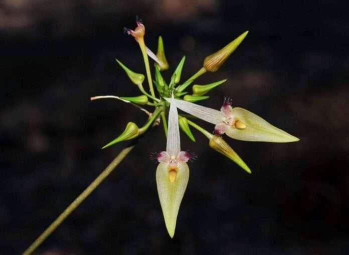 FB_IMG_1760829866471