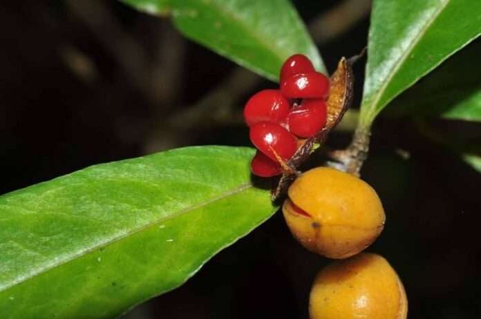 FB_IMG_1760917230853