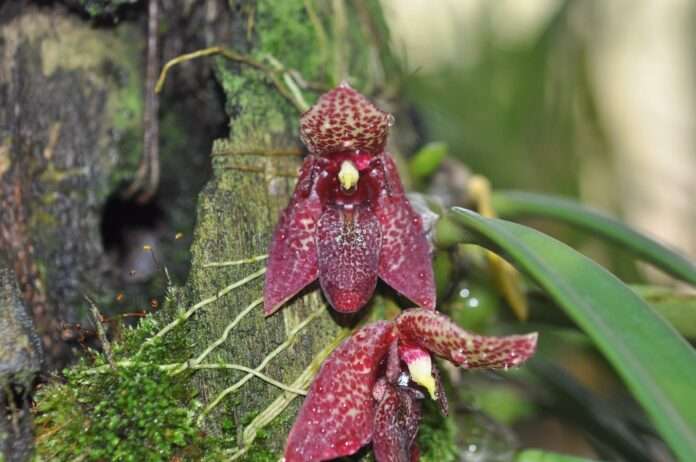 FB_IMG_1761182523286