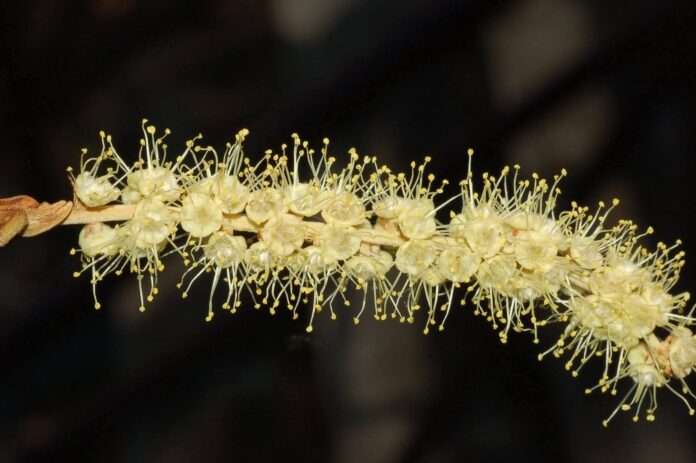 FB_IMG_1761436599204