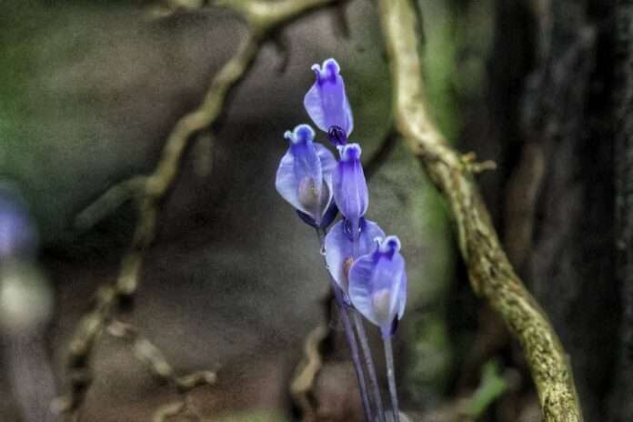 FB_IMG_1761520984778