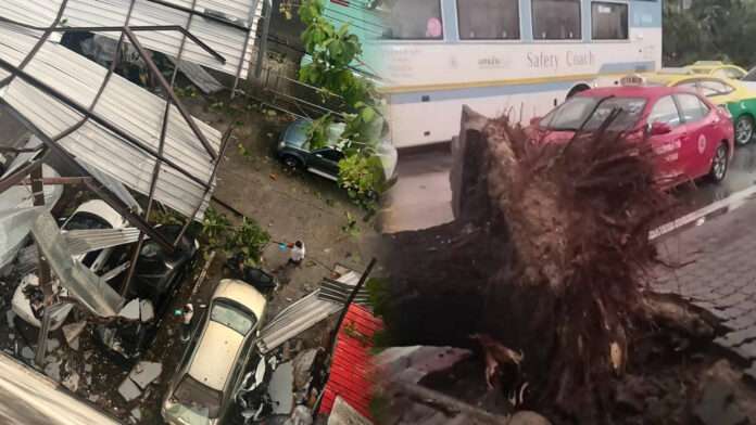 InShot_20251003_071936289