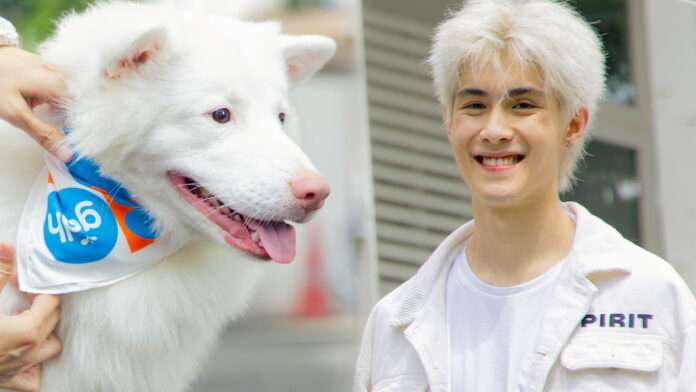 InShot_20251008_193444602