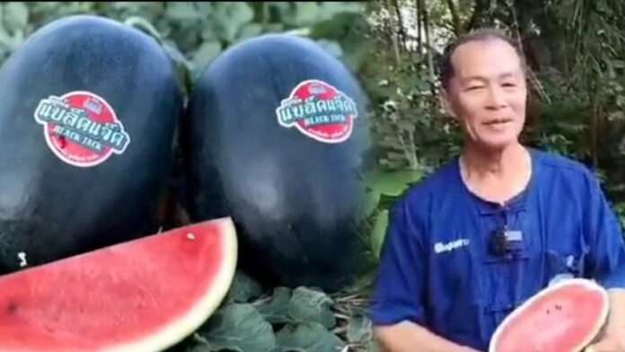 InShot_20251010_144212093