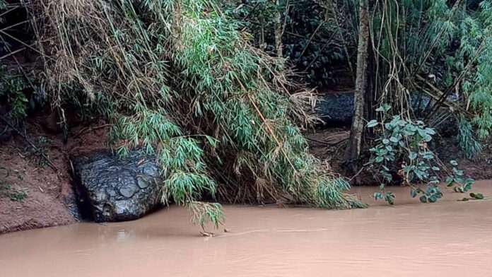 InShot_20251020_151145078