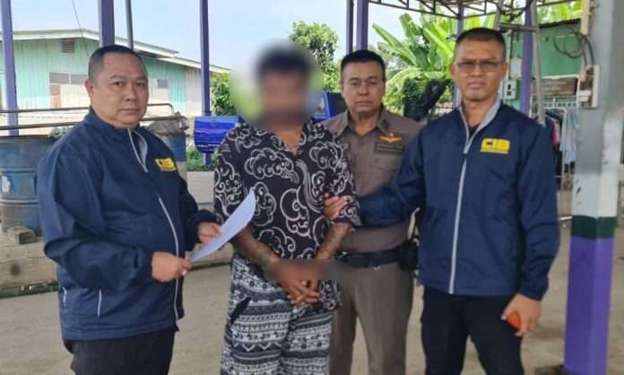 1763176492564_edit_217631653391269