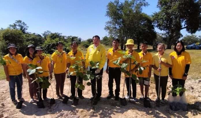 1764041887074_edit_103519030781597