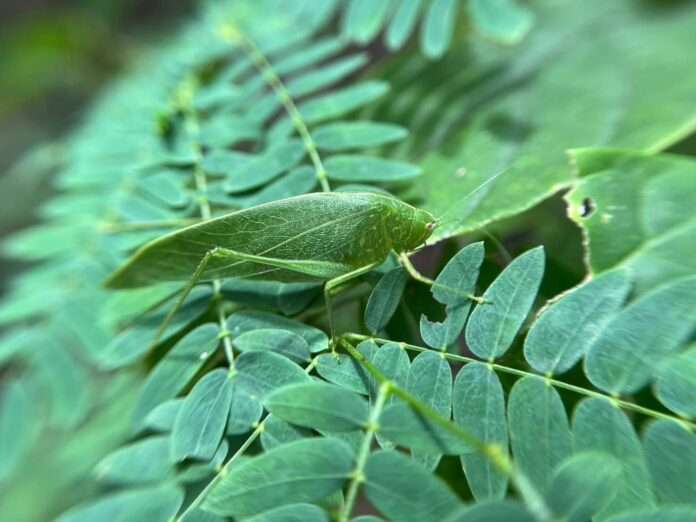 FB_IMG_1762212546974