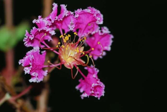 FB_IMG_1762564119711