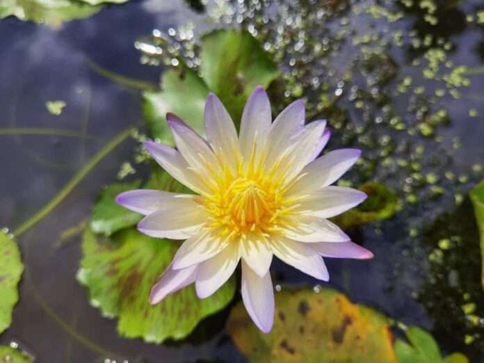 FB_IMG_1762648699768