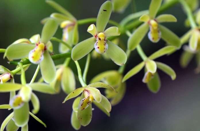 FB_IMG_1762995982944_edit_45534888630029