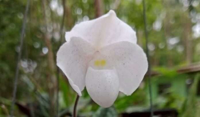 FB_IMG_1763075428157_edit_121896905806918