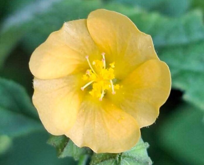 FB_IMG_1763681548850