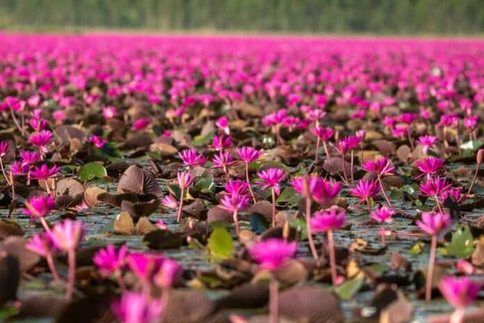 FB_IMG_1763767534710