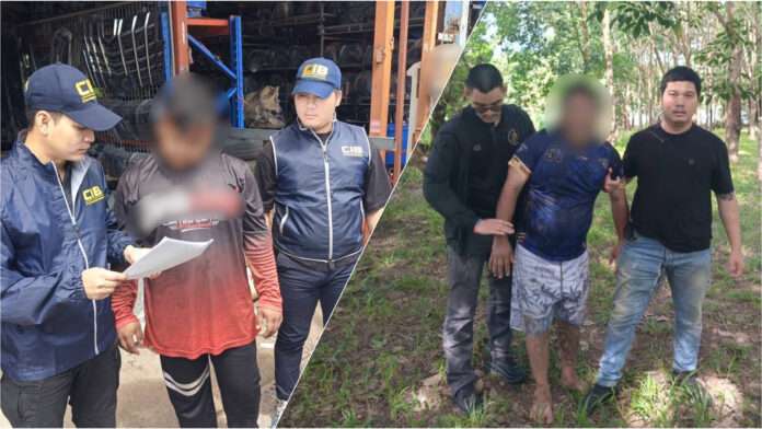 InShot_20251114_104655786