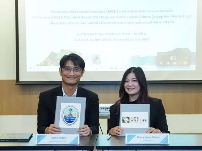 ปิ่นสักก์ แนนซี่ ปก