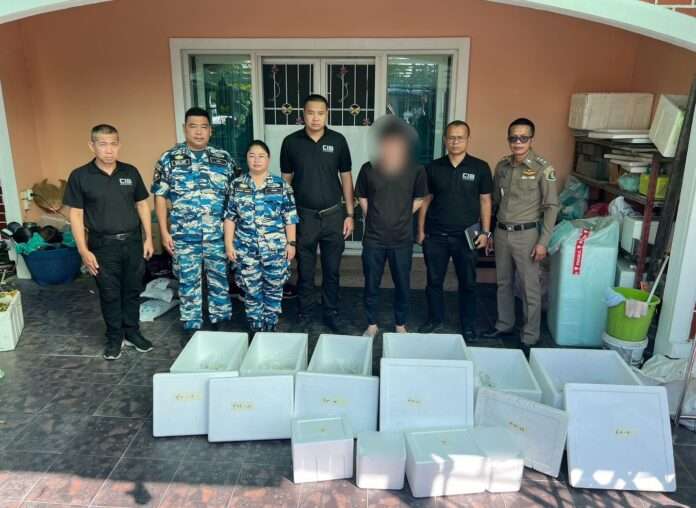 1766539347162_edit_233316030876897