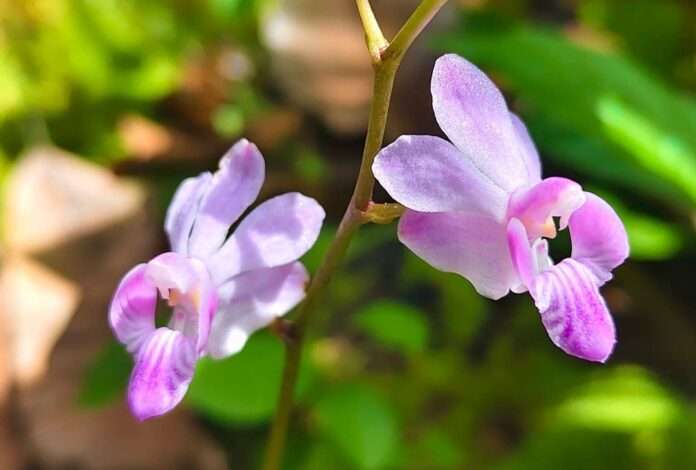 FB_IMG_1765586591190