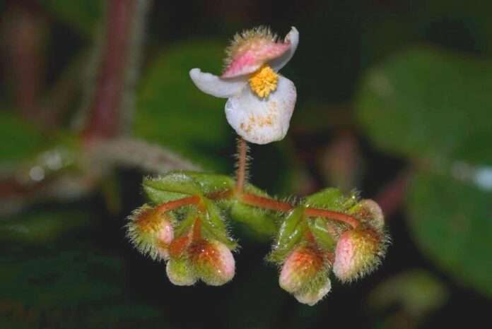 FB_IMG_1765755363485_edit_34415382523393