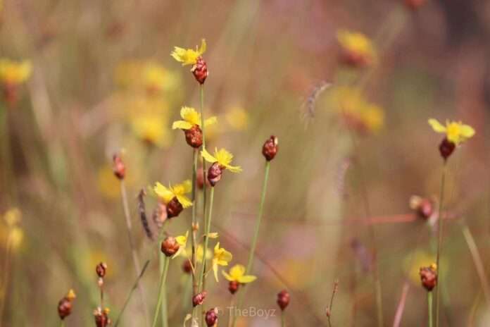 FB_IMG_1765927318871