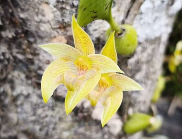 FB_IMG_1766014034720