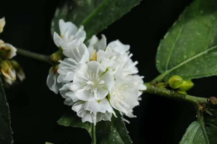 FB_IMG_1766102553824