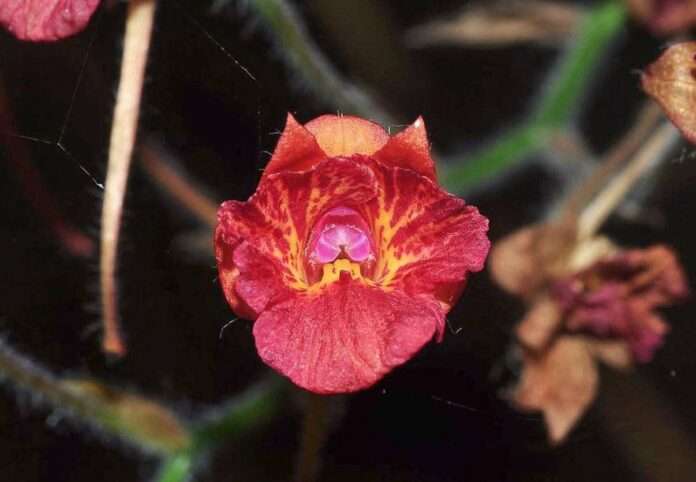 FB_IMG_1766193830918