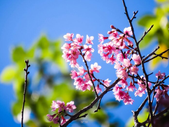 FB_IMG_1766279016925