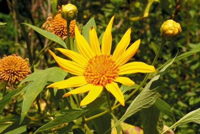 FB_IMG_1767140598475