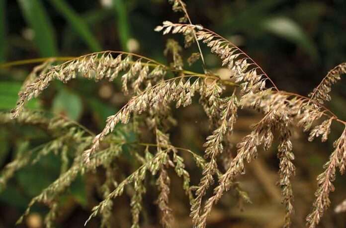 FB_IMG_1767314008340