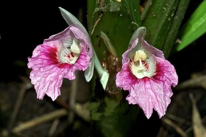 FB_IMG_1767742028254