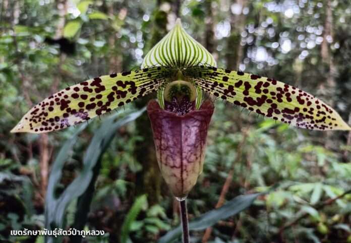 FB_IMG_1768871621750