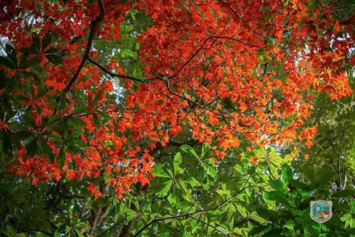 FB_IMG_1769213511115