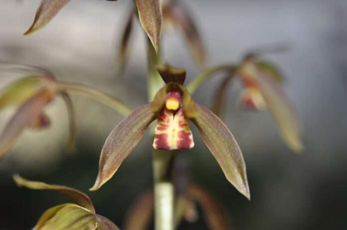 FB_IMG_1769734365731