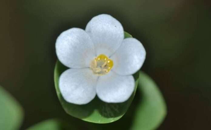 FB_IMG_1769818714183_edit_245632365376060