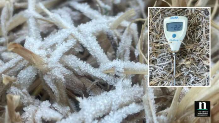 InShot_20260131_092112576