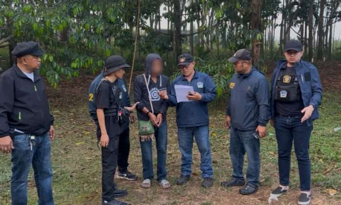 1772017841234_edit_133165929909888