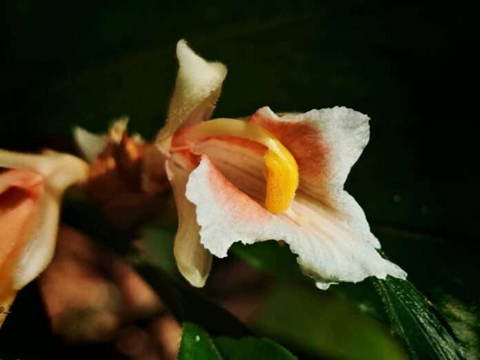 FB_IMG_1771201755781