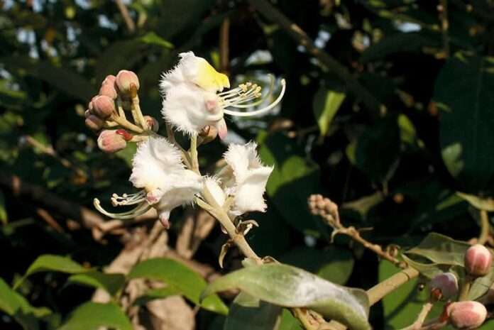 FB_IMG_1771290036675