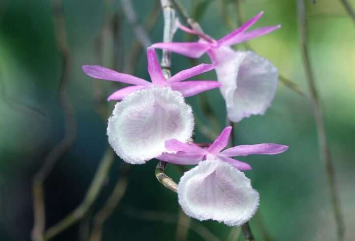 FB_IMG_1771375209359