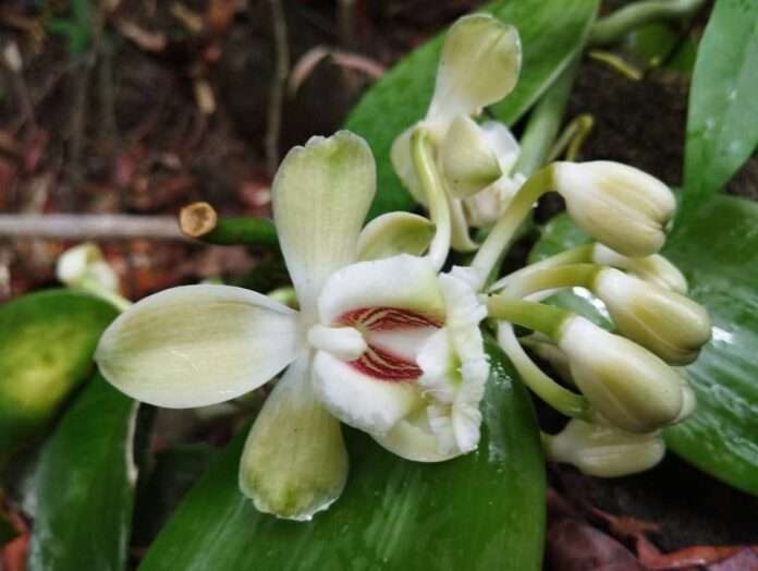 FB_IMG_1771805464456